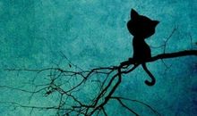 写给妈妈：如果失去你，我将是个失败者