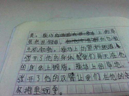 学校清洁成分