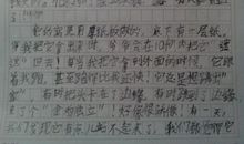 观察小动物的作文