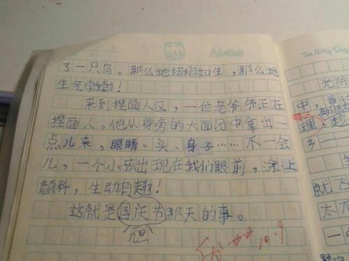 元旦笔记和组成