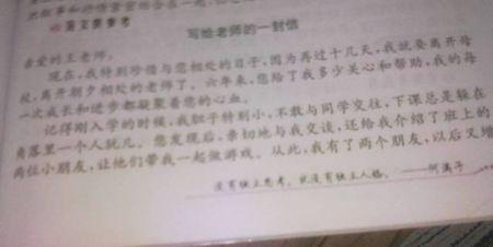 给中文老师的信