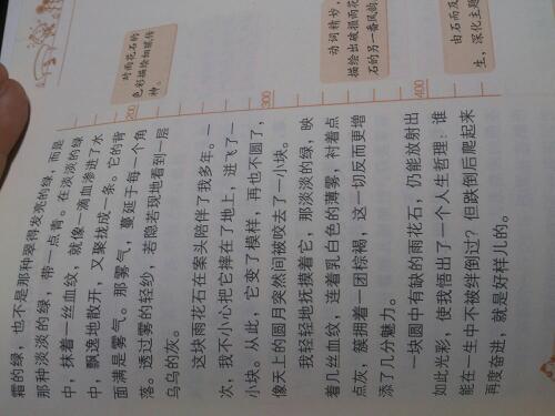 介绍100字的作文