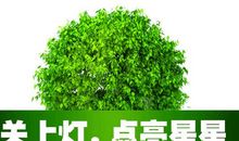 熄灯一小时作文