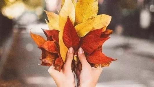 如何与他人相处？