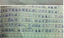 介绍一种水果500字作文