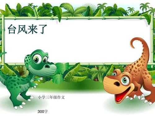 台风来了