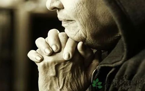 树木想安静,但风不停,孩子想支撑但不想接吻