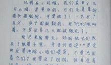 学校那些事作文