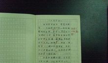 介绍一种水果200字作文