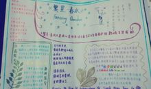 繁星春水读后感550字