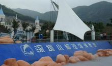 小梅沙海洋世界作文