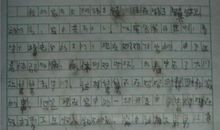 夸家乡的作文50字