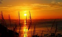 诚信，人生最宝贵的财富