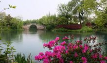 身边的风景初中作文