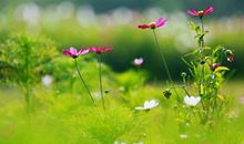 读向孩子学习有感