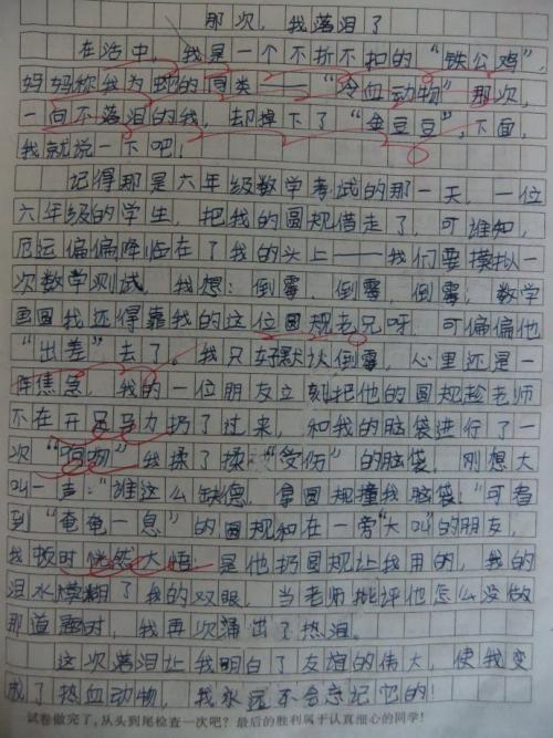 赞美我的同学500字作文