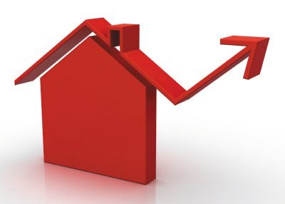 首先下降的组成仙人掌