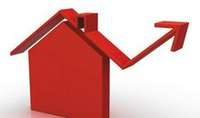 先抑后扬的作文仙人掌