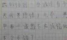 小学寒假日记100字