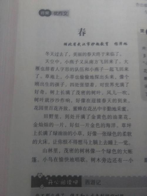 农历新年作文200字