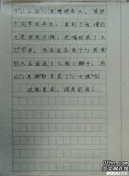 我的偶像作文400字