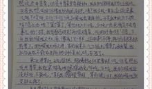 从此我不再放弃作文