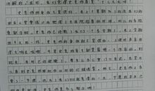 我心目中的偶像作文