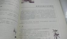 有关梅花的作文