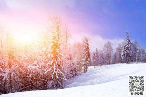 寒冷的冬天温暖的成分
