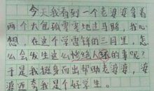 难忘那张灿烂的脸作文