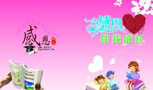 在感恩中成长读后感