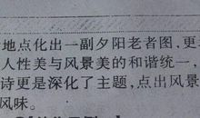 关于腊梅花的作文