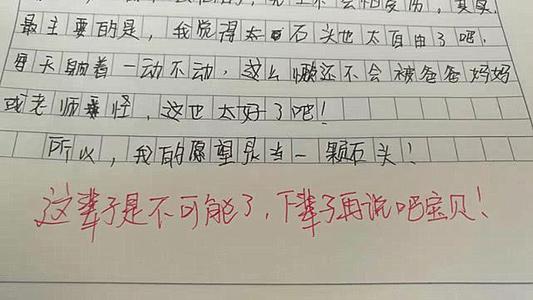 我发现了小学论文