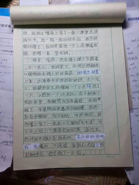 我的偶像初中作文