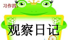 观察日记3则