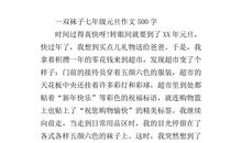 元旦记事作文500字