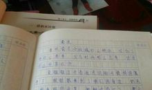 荷花作文100字