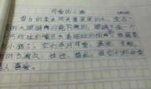 家的味道作文600字