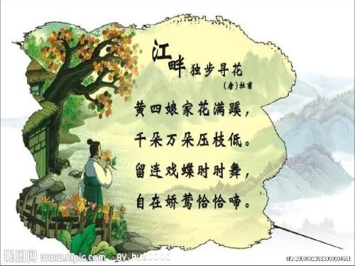 我春季作文有点小雨