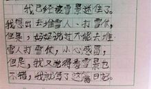 中学生日记300字