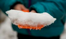 玩雪的作文600字