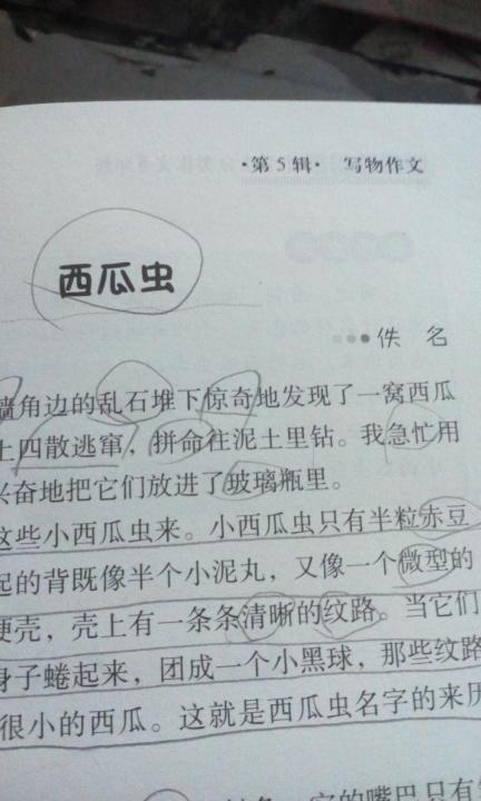 我与动物的故事600字
