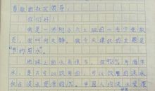 我与网络作文600字