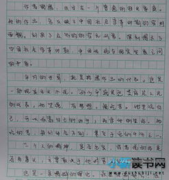 美丽的文章和思想