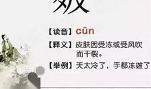 关于活雷锋的作文