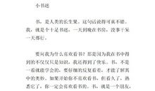 我与网络的故事作文