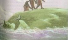 梦幻飞翔岛读后感