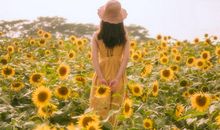 向日葵女孩读后感