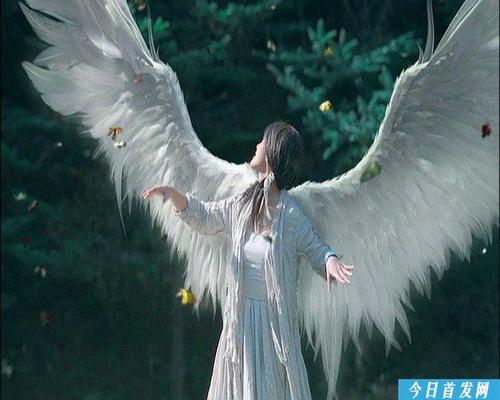 大圣贤的经典语录