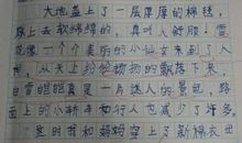 寒假见闻500字